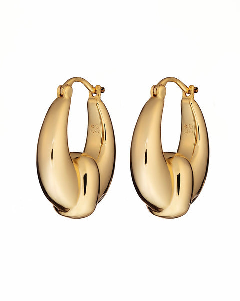 Chunky Creole Hoop Earrings – crystalsandco - Main Image