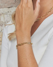 Preorder - Paper Clip Set