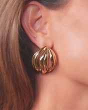 Gold Gild Earrings - 14ct gold filled